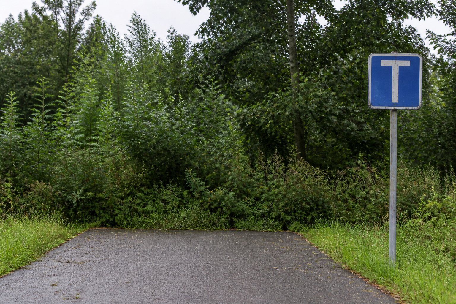 Wat 580 vergeten redirects met mijn zoekverkeer deden