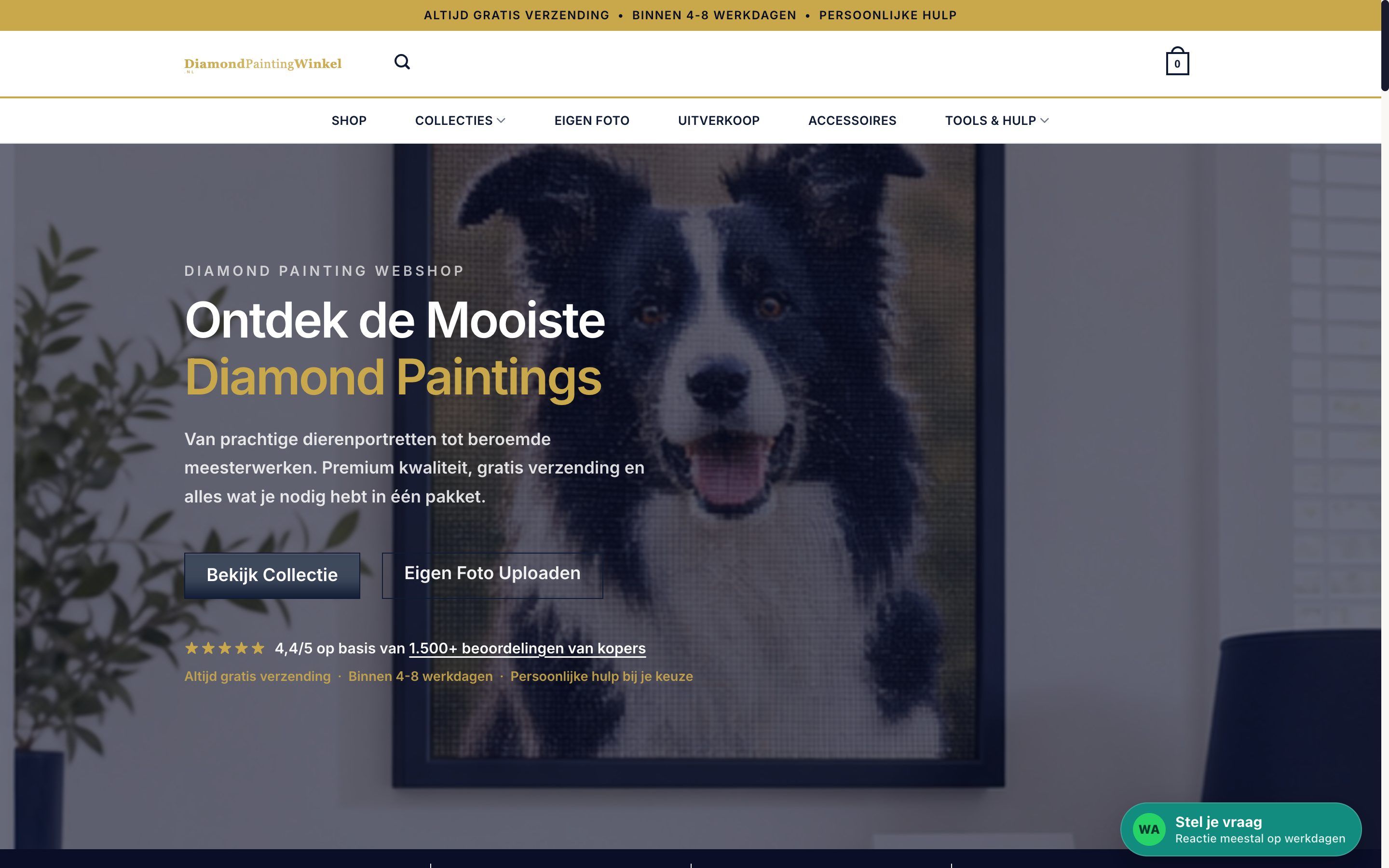 Homepage van Diamondpaintingwinkel.nl