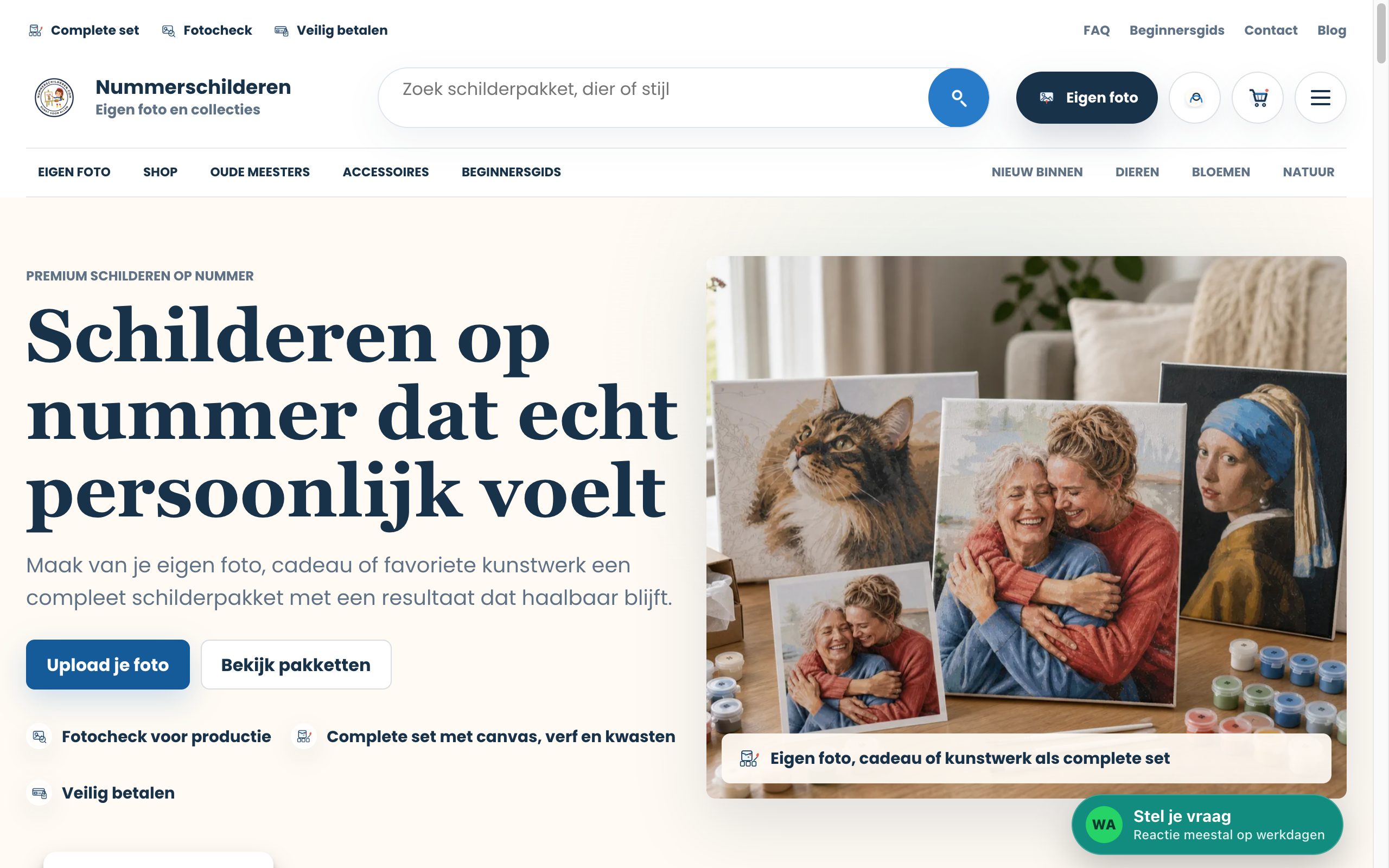 Homepage van Nummerschilderen.com